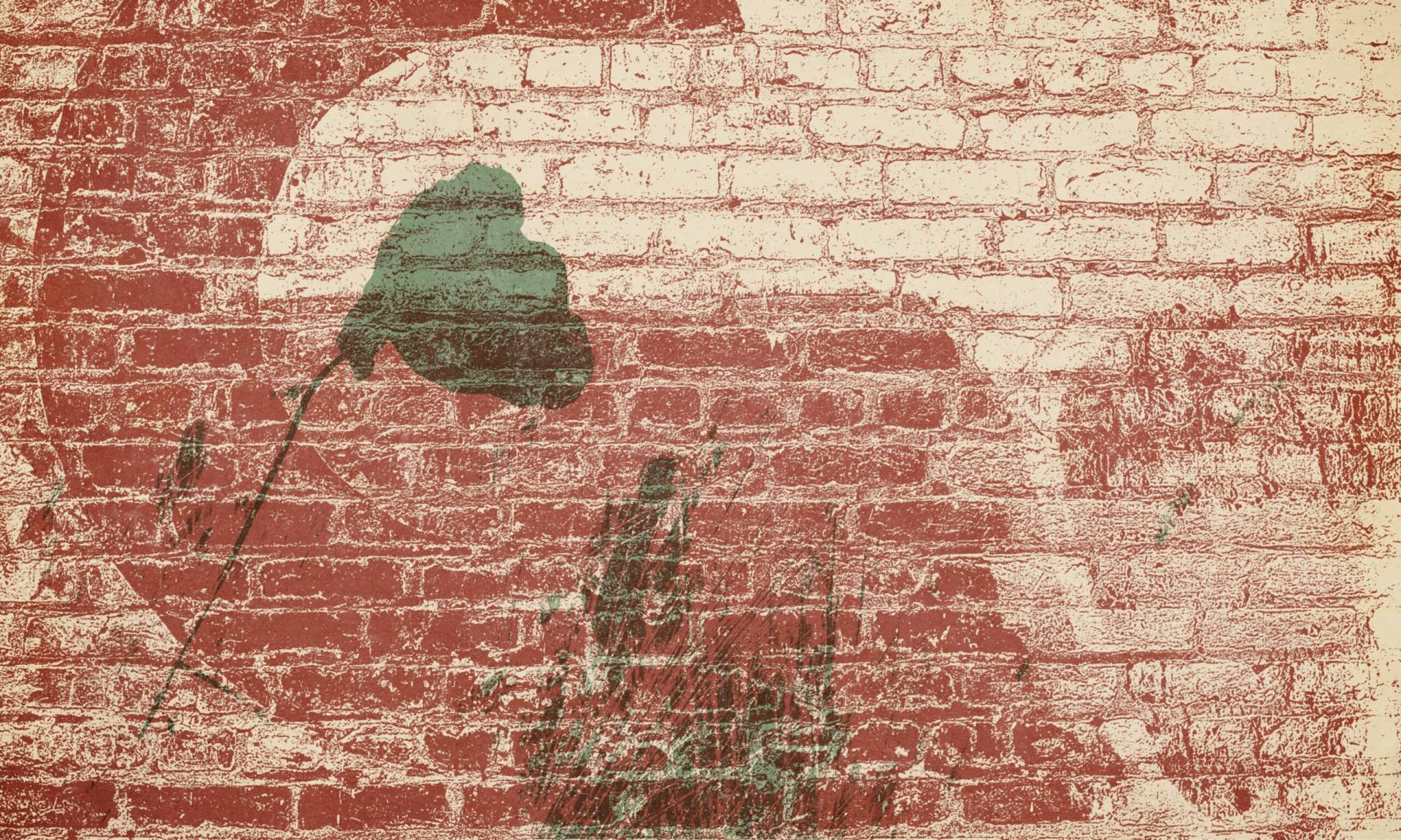 Aprendiendo a Amar Aprendiendo a Amar