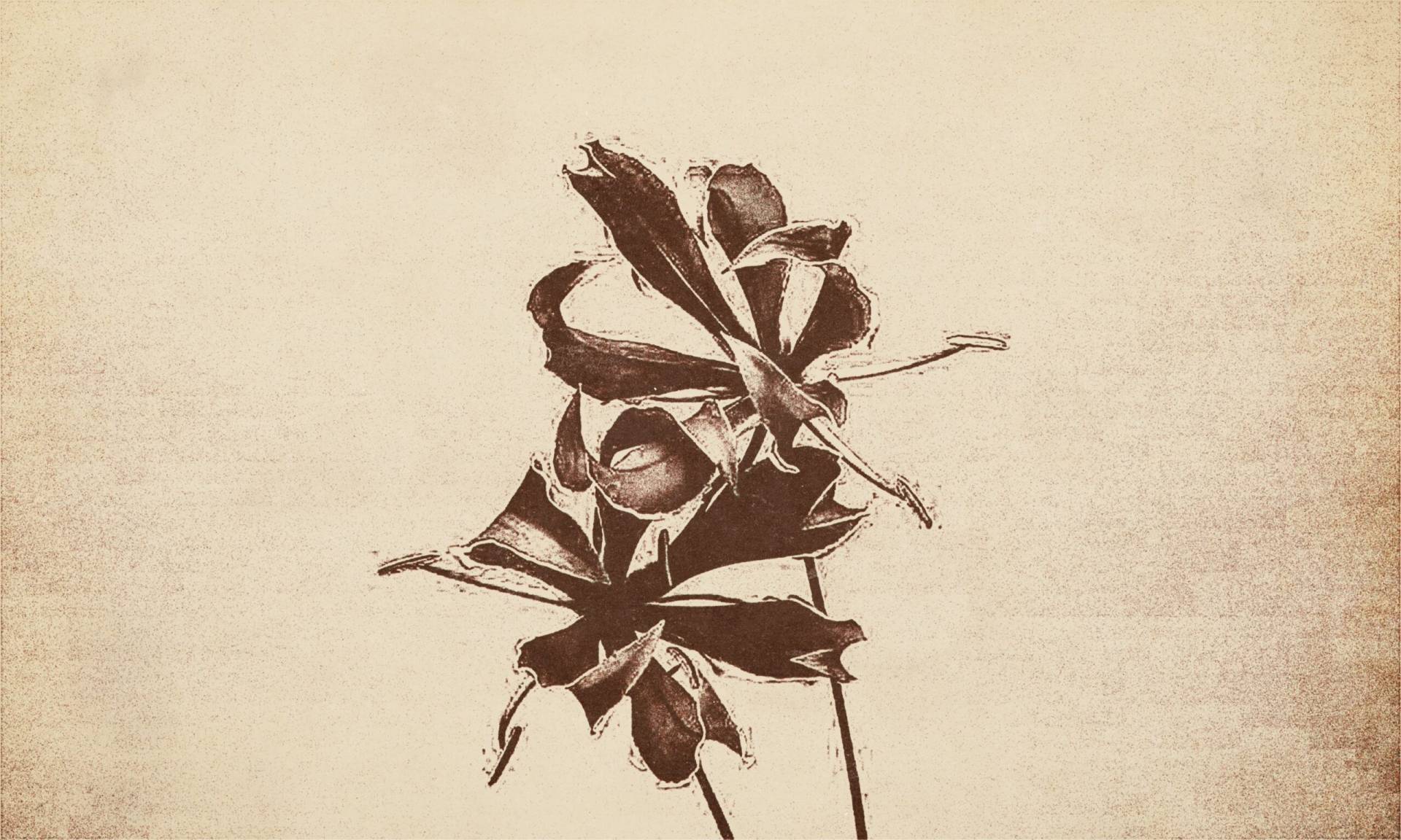 Amor es Amor slide 1